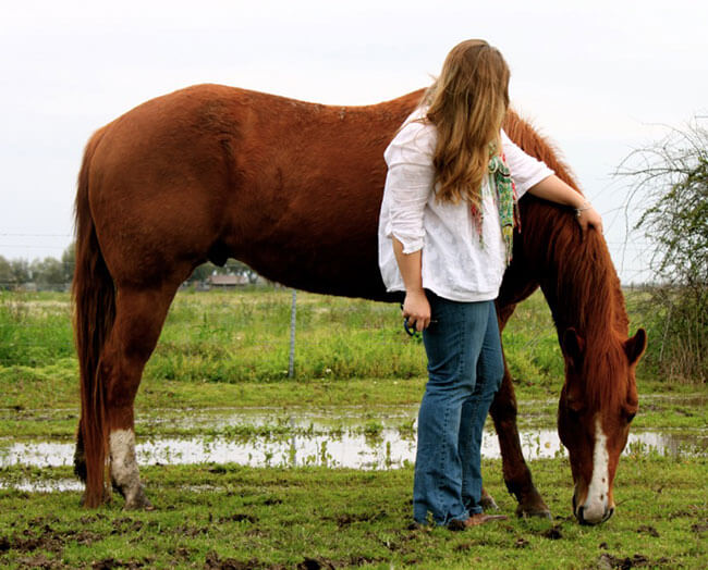 woman and horse